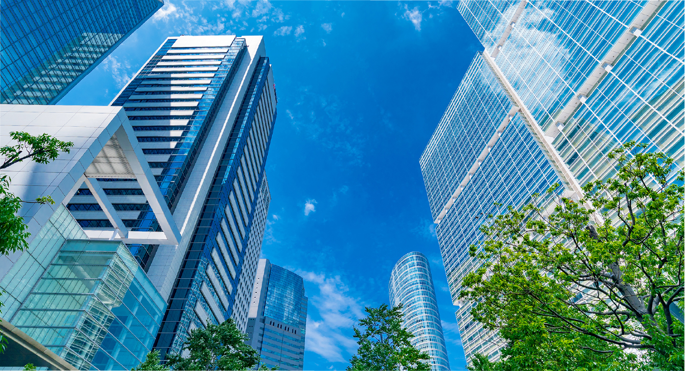 I PROMISE TO IDEAL HOUSE